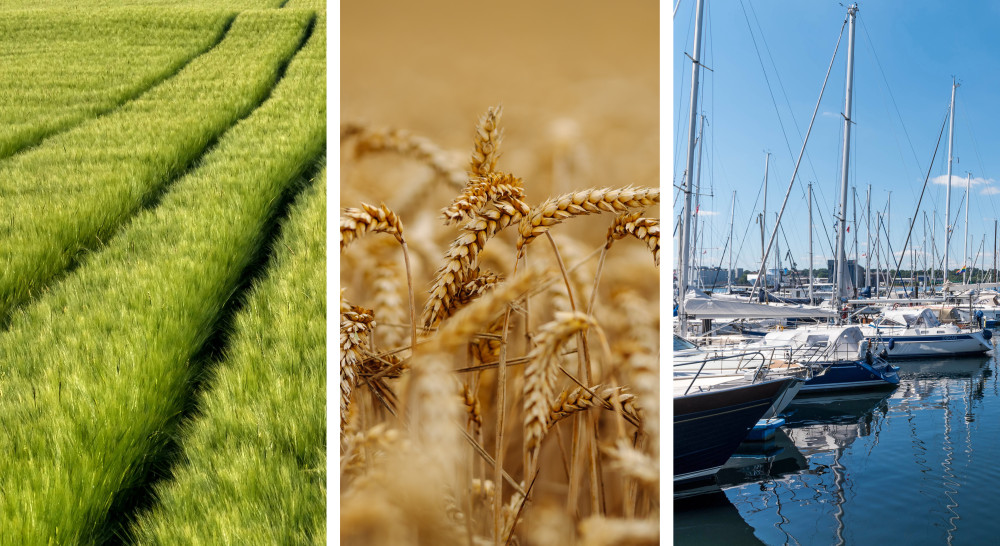 Drei Fotos nebeneinander zeigen ein grünes Getreidefeld, goldene Weizenähren und Segelboote in einem Hafen.